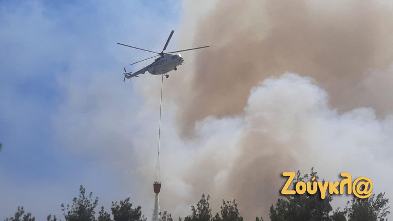 Σουφλί: Μεγάλη πυρκαγιά στο δάσος της Δαδιάς